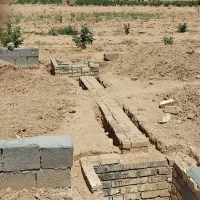 فروش یامعاوضه 10هزارمترزمین کشاورزی|فروش دفتر صنعتی، کشاورزی، تجاری|برخوار, |دیوار