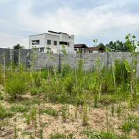 زمین گلسار آلمان|فروش زمین و ملک کلنگی|رشت, پستک|دیوار