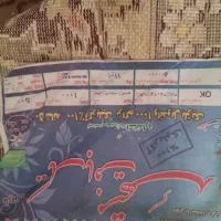 یک جفت فرش 12متری رنگ گردویی