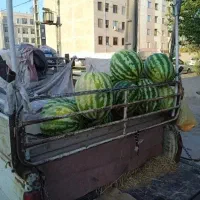 پیکان وانت مدل ۸۲