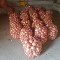 پیاز|عمدهفروشی|دورود, |دیوار