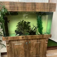 آکواریوم کاملا سالم پایین کمد تعدادی ماهی|ماهی|فردیس, شهرک هفده شهریور|دیوار