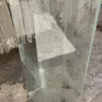 آکواریوم 1 متری|ماهی|تبریز, |دیوار