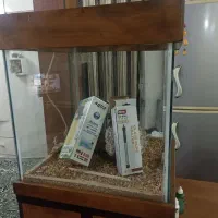 آکفاریوم