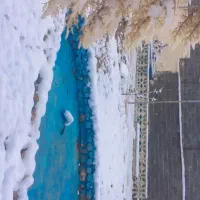 اجاره-ویلا-بصورت-روزانه-هفتگی-و-ماهانه-در-شیروان