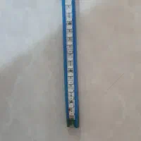 ریسه بنفش
