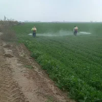 سمپاشی چلتکوک