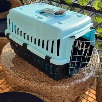 واگذاری سگ نژاد دار|سگ|لاهیجان, حاجی آباد|دیوار