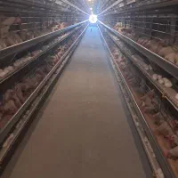 نگهبان و انباردار