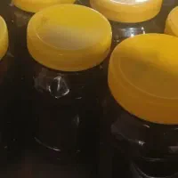 کشمش و شیره انگور|خوردنی و آشامیدنی|شیراز, باجگاه|دیوار