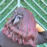 خدمات تخصصی رنگ ولایت