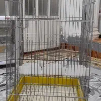 قفس کاسکو بزرگ درحدنو