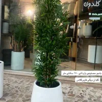 درختچه