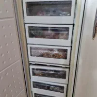 یخچال دو قلو سینجر|یخچال و فریزر|همدان, |دیوار