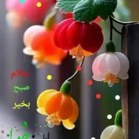 راهنمایی
