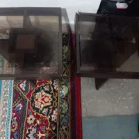 دوتامیزعسلی سالم|مبلمان خانگی و میز عسلی|قوچان, |دیوار