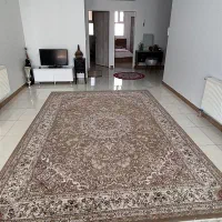 فرش ۹ متری ۱۲۰۰ شانه نگین مشهد|فرش|تهران, چیتگر شمالی|دیوار