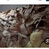 خرید و فروش نان خشک دامی