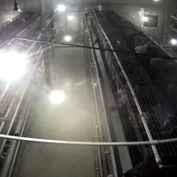 یه واحد مرغداری بومی