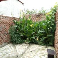 ویلای مستقل نوساز