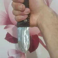 چاقو سلاخیی|کلکسیون و سرگرمی|خمینی‌شهر, |دیوار