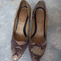 کفش|کیف، کفش، کمربند|آق قلا, |دیوار