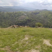 فروش200متر زمین در  زیرآب روستای بالاچایرون کد(9)