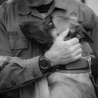 مربی سگ خانم و آقا ، تربیت و آموزش و پانسیون|خدمات آموزشی|قم, زنبیل آباد|دیوار