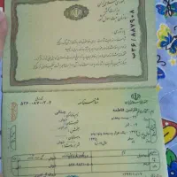 شناسنامه گم شده