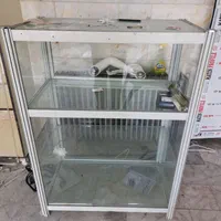 مانکن ، رگال ، ویترین ، آویز|حراج|ارومیه, |دیوار