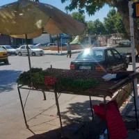 میز کار چرخ دار میوه وسبزی