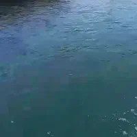 ۱۸ هکتار زمین کشاورزی با چاه دربست