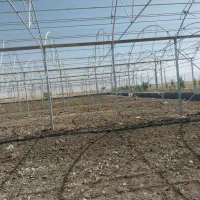 کارگر جوان برای نصب گلخانه نیازمندیم