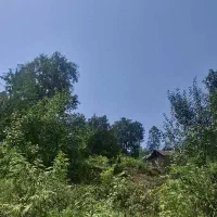 500متر کوهستانی مدارک کامل به شرط پروانه ساخت|فروش زمین و ملک کلنگی|احمدسرگوراب, |دیوار