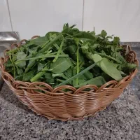 سبدبافی