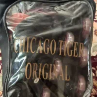 یک جفت اسکیت با مارک (شیکا گو تایگر)،نو نو|دوچرخه، اسکیت، اسکوتر|کرمانشاه, |دیوار