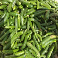 خیارمحلی نژادخیارشوری|خوردنی و آشامیدنی|سلطانیه, |دیوار
