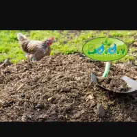 فروش کود مرغی اعلا