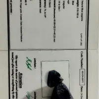 520 قیرات یاقوت کبود طبیعی با شناسنامه|جواهرات|تهران, آهنگران (سراسیاب دولاب)|دیوار