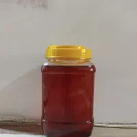 عسل بندرعباس