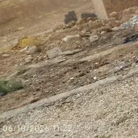 زمین شباب