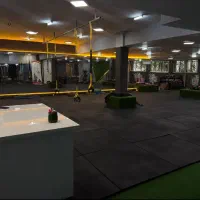 مربی خصوص بدنسازی ،فیتنس