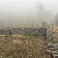 زمین کشاورزی باغی