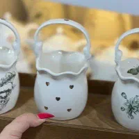 نبات خوری