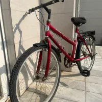 دوچرخه سالم زنانه