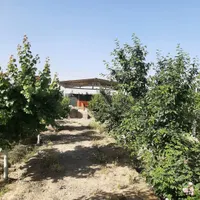 فروش زمین ۳۰۰ متری در فیروز بهرام|فروش زمین و ملک کلنگی|تهران, شهرک طالقانی|دیوار