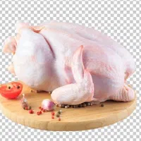 اجاره مغازه واسه قصابی