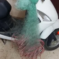 تور ماهیگیری