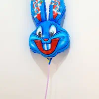 تم بادکنک تولد|اسباب‌‌بازی|برازجان, |دیوار