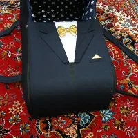 ساک حمل نوزاد